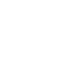 Asset 271