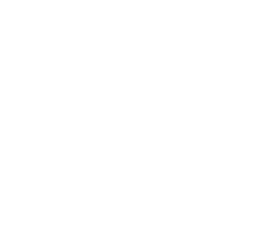 Asset 291
