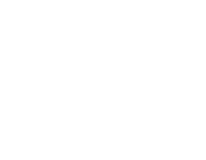 Asset 321