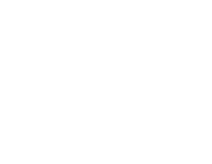 Asset 371