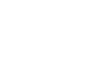Asset 391