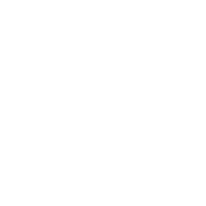 Asset 411