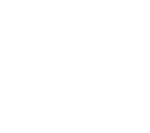 Asset 421