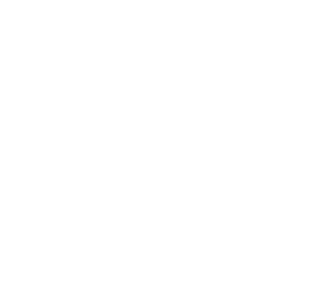 Asset 431