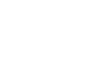 Asset 441
