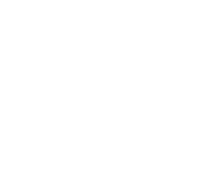 Asset 451
